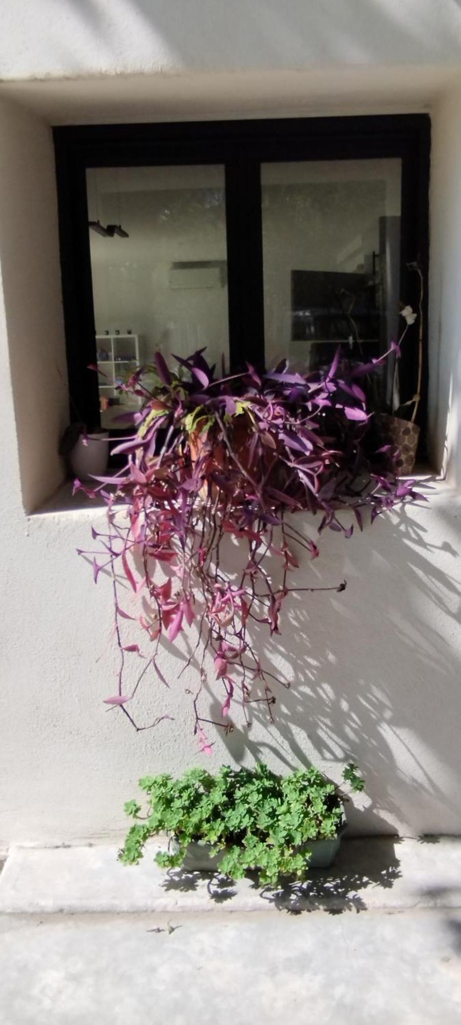 Mas En Provence Villa Le Thor Eksteriør bilde